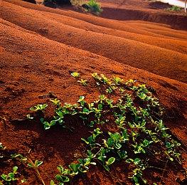 Techland：《消逝的光芒2》秋冬更新计划提前预览